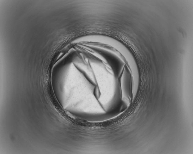 X0000112490593200908311433