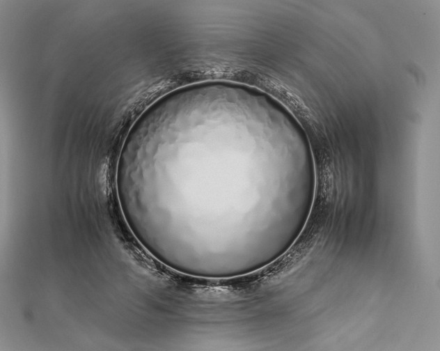 X0000112490594200908311433