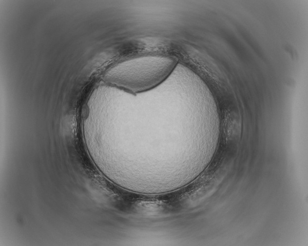 X0000112490595200908311433