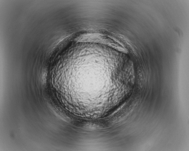 X0000112490596200908311433