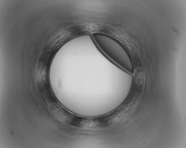 X0000112490597200908311433