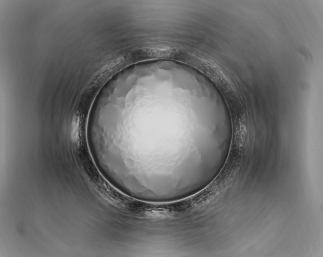 X0000112490598200908311433