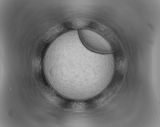 X0000112490599200908311433