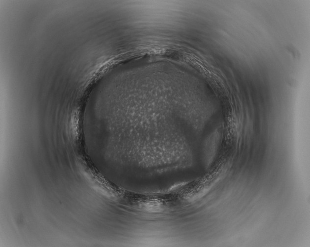 X0000112490600200908311433