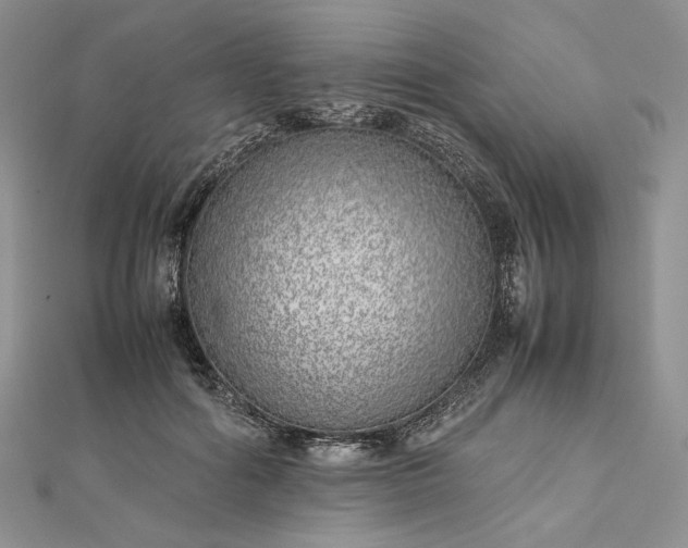 X0000112490602200908311433