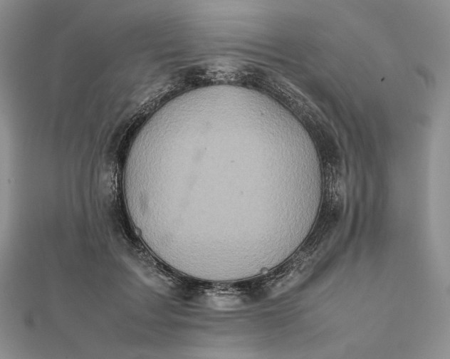 X0000112490603200908311433