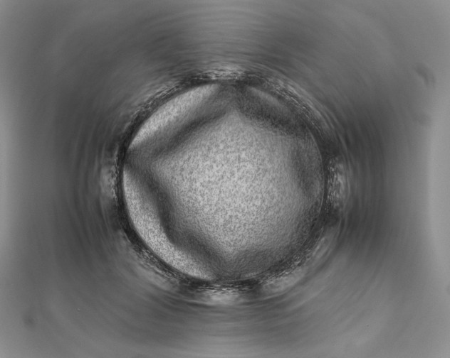 X0000112490604200908311433