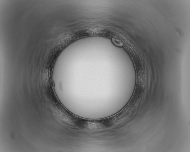 X0000112490605200908311433