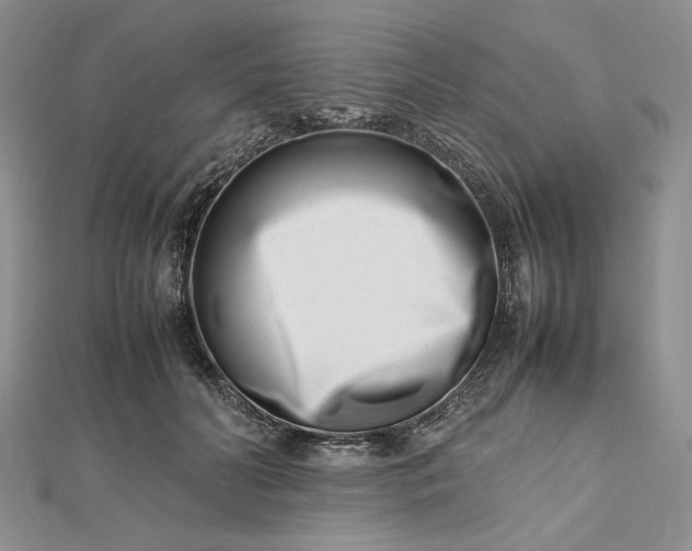 X0000112490606200908311433