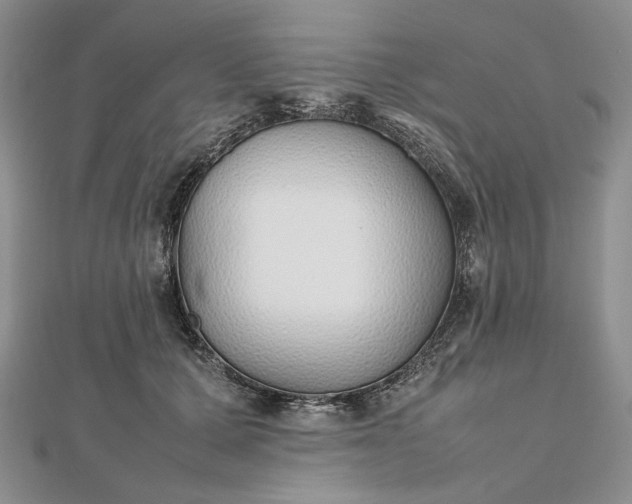 X0000112490607200908311433