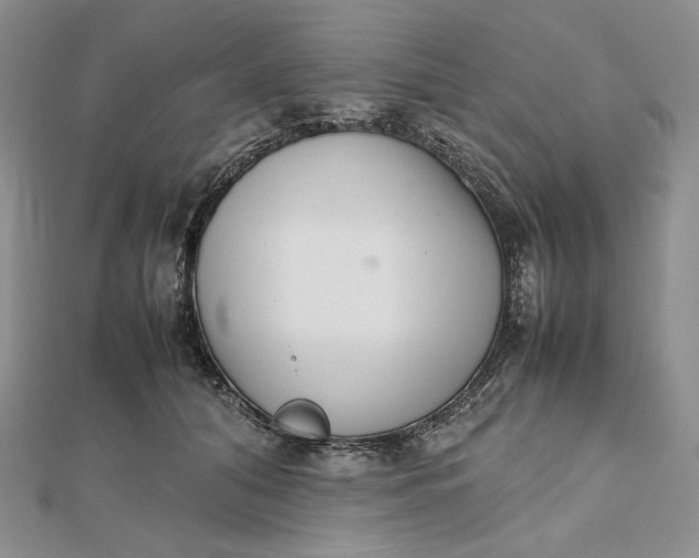 X0000112490608200908311433