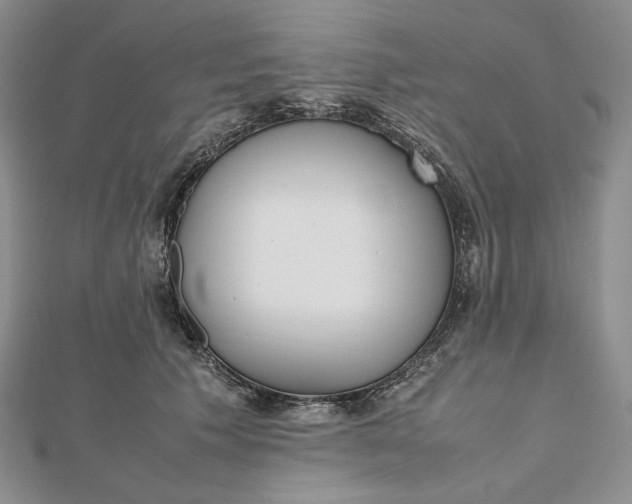 X0000112490609200908311433