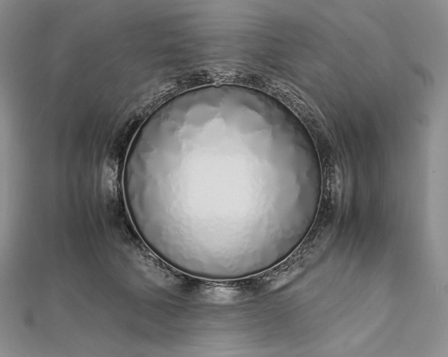 X0000112490610200908311433