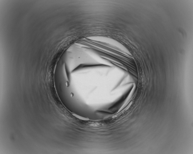 X0000112490611200908311433