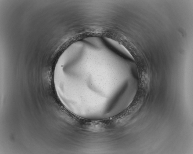 X0000112490612200908311433