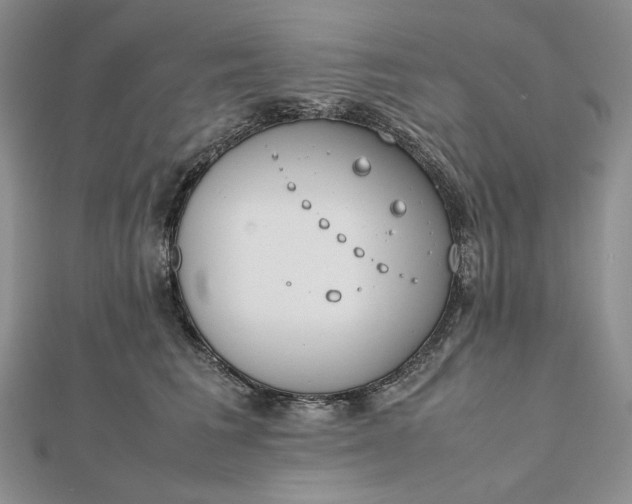 X0000112490613200908311433