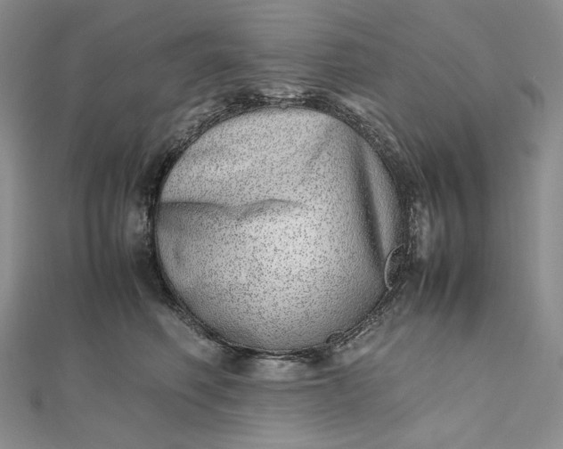 X0000112490614200908311433