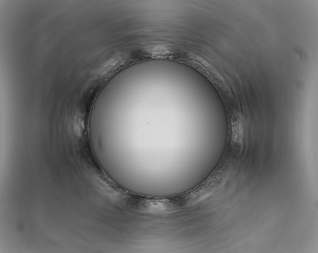 X0000112490618200908311433