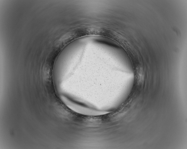 X0000112490619200908311433