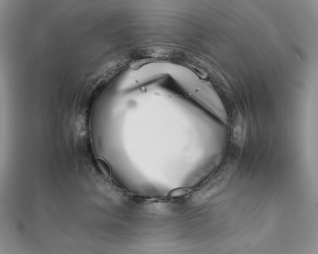 X0000112490620200908311433