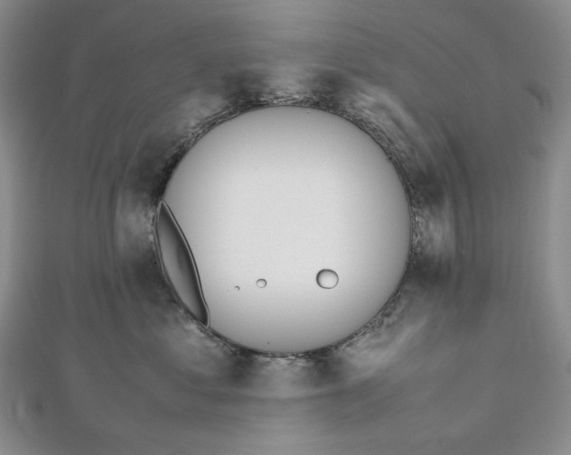 X0000112490621200908311433