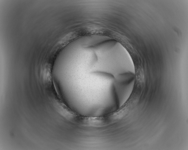 X0000112490622200908311433