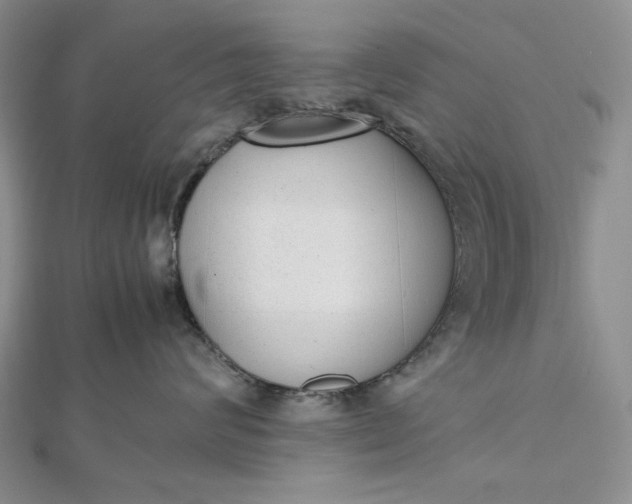 X0000112490624200908311433