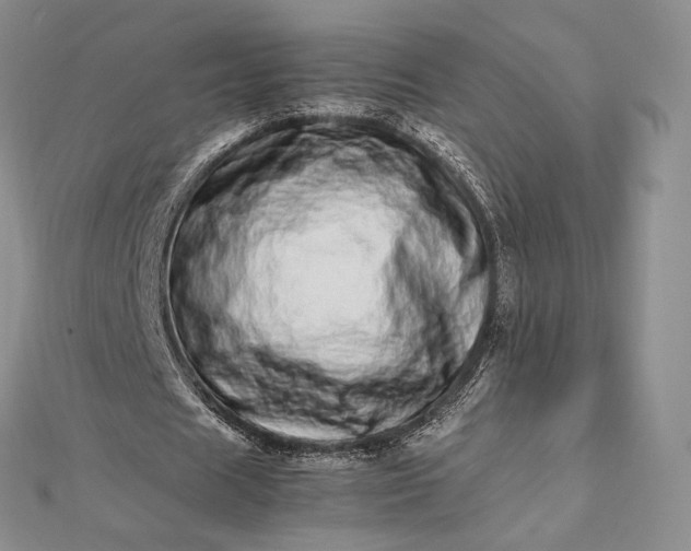 X0000112490625200908311432