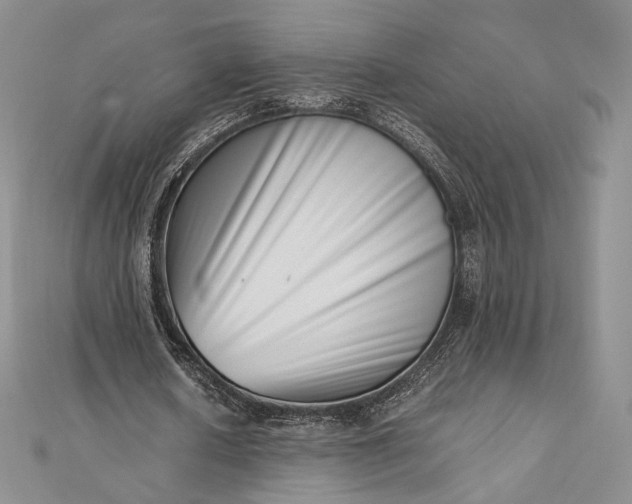 X0000112490626200908311432