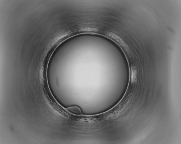 X0000112490627200908311432