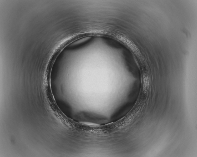 X0000112490628200908311432