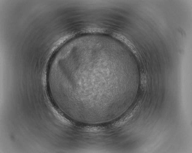 X0000112490629200908311433