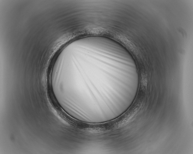 X0000112490630200908311433