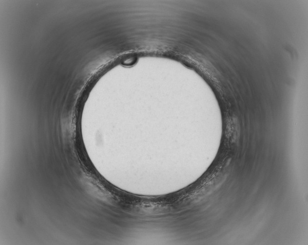 X0000112490632200908311433