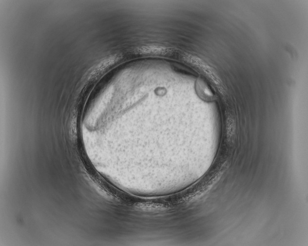 X0000112490633200908311433