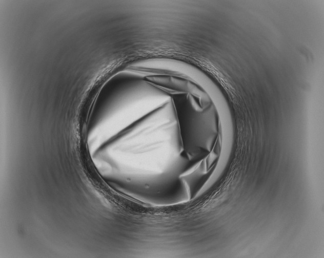 X0000112490634200908311433