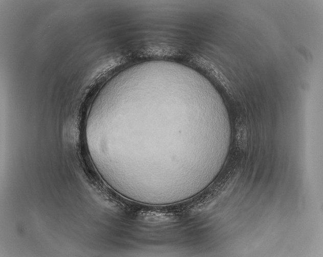 X0000112490635200908311433