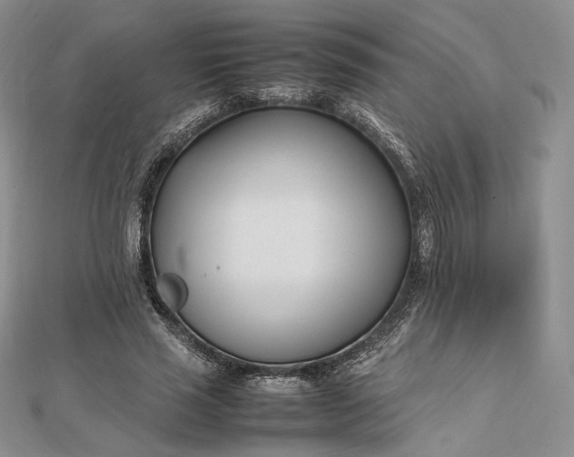 X0000112490637200908311433