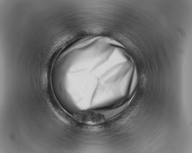 X0000112490638200908311433