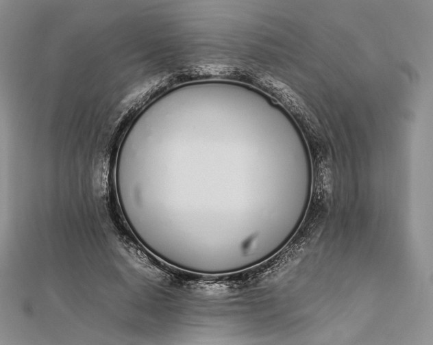 X0000112490640200908311433