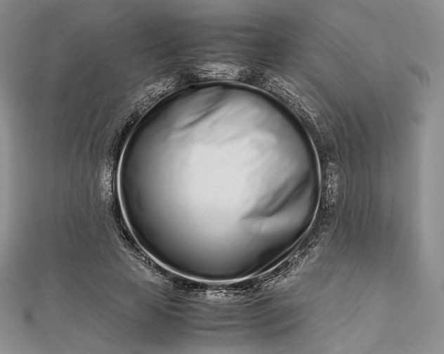 X0000112490641200908311433