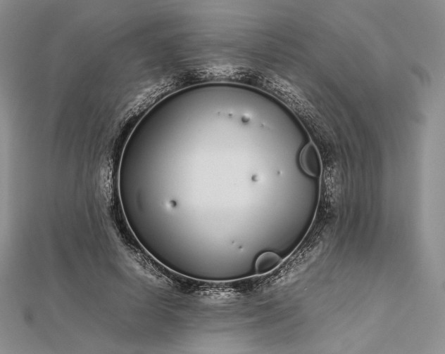 X0000112490642200908311433