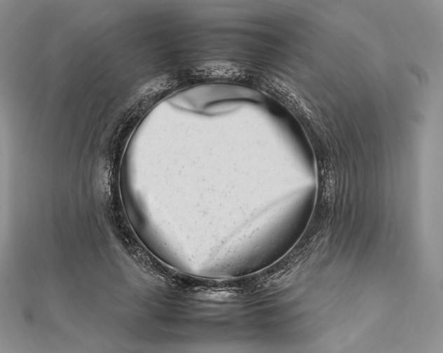 X0000112490643200908311433