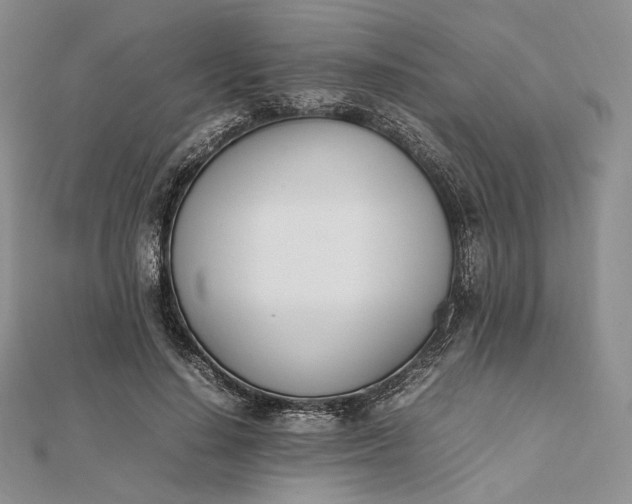 X0000112490644200908311433