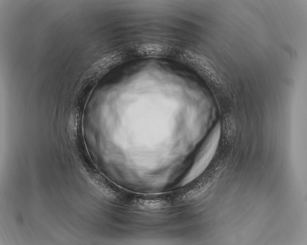 X0000112490645200908311433