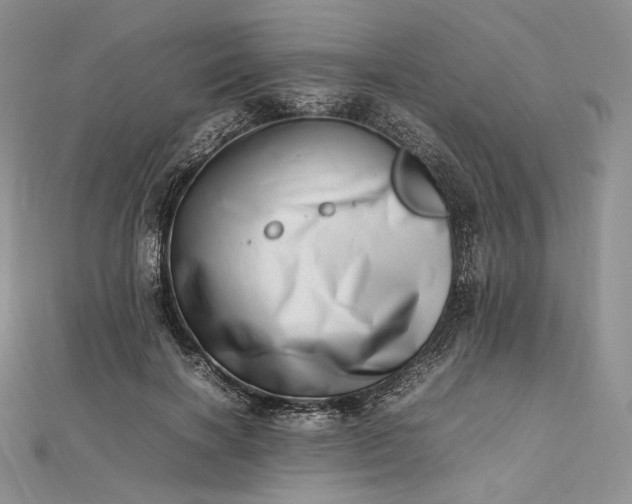 X0000112490646200908311433