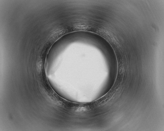 X0000112490647200908311433