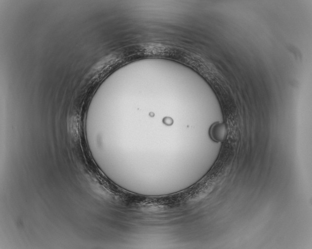 X0000112490648200908311433