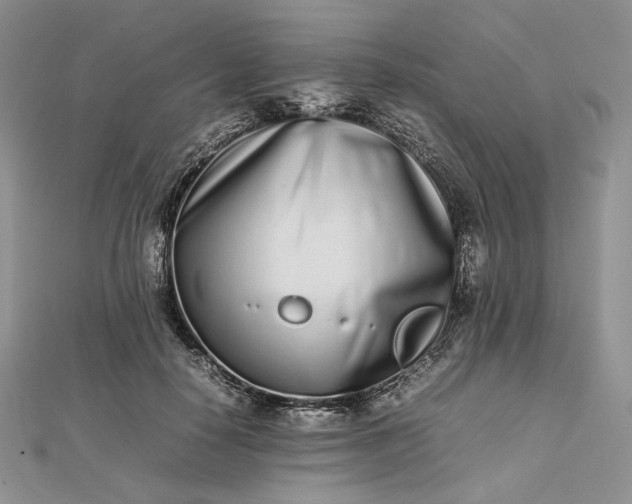 X0000112490650200908311433