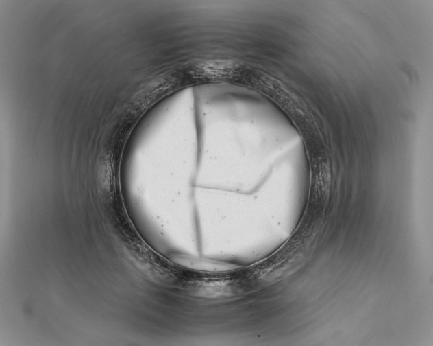 X0000112490651200908311433